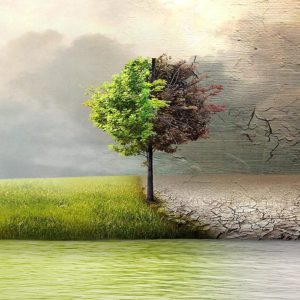 impacto natural