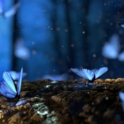 historia-de-piscis